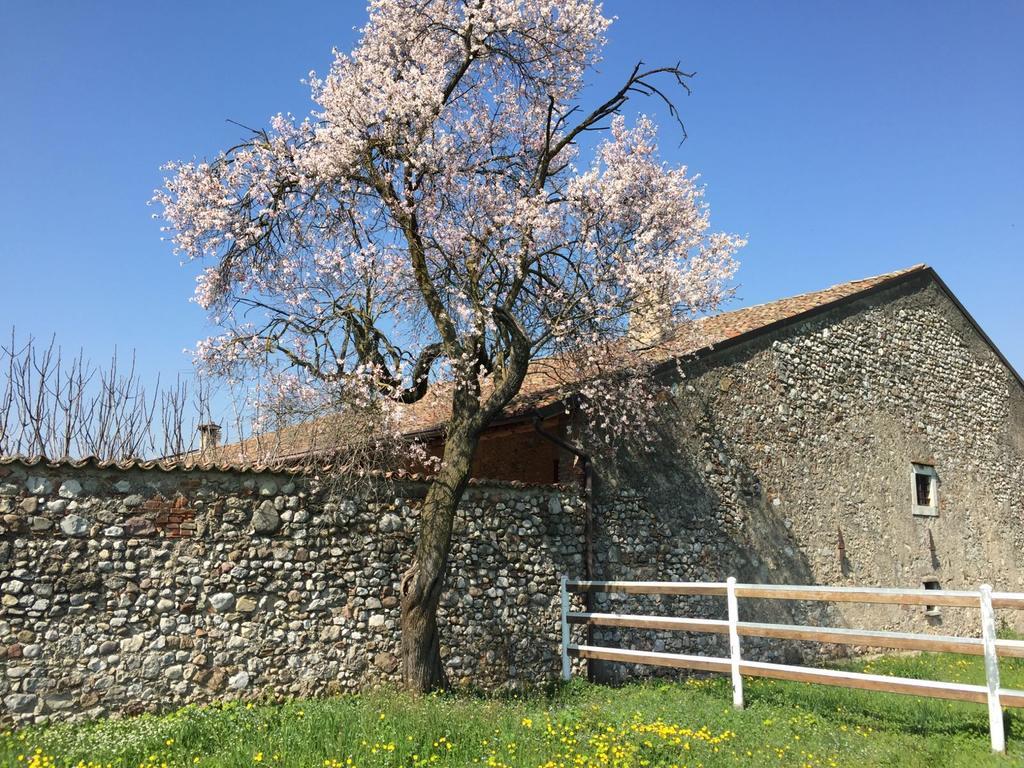 Bed and Breakfast Antico Cascinale Lombardo Lonato del Garda Exterior foto